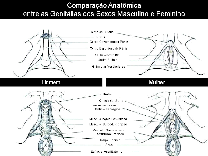 Plástica Vaginal – Labioplastia- Cirurgia Íntima – Plástica Genital – Redução dos Lábios Vaginais