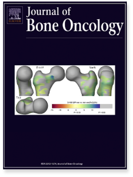 Bone protection with intravenous bisphosphonates during ADT in prostate cancer